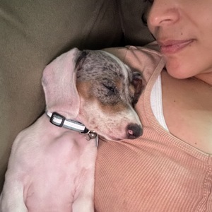 Fundraising Page: Dialynette Vazquez